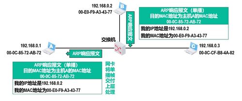 计算机网络技术核心 深度解析网络层